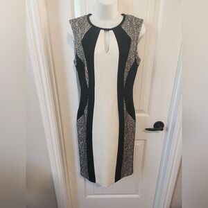 Cache Ivory & Cream Lace Inset Sheath Dress w/ Gold Double Ended Closure Sz 4